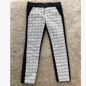 Express Columnist Dress Slack Pants